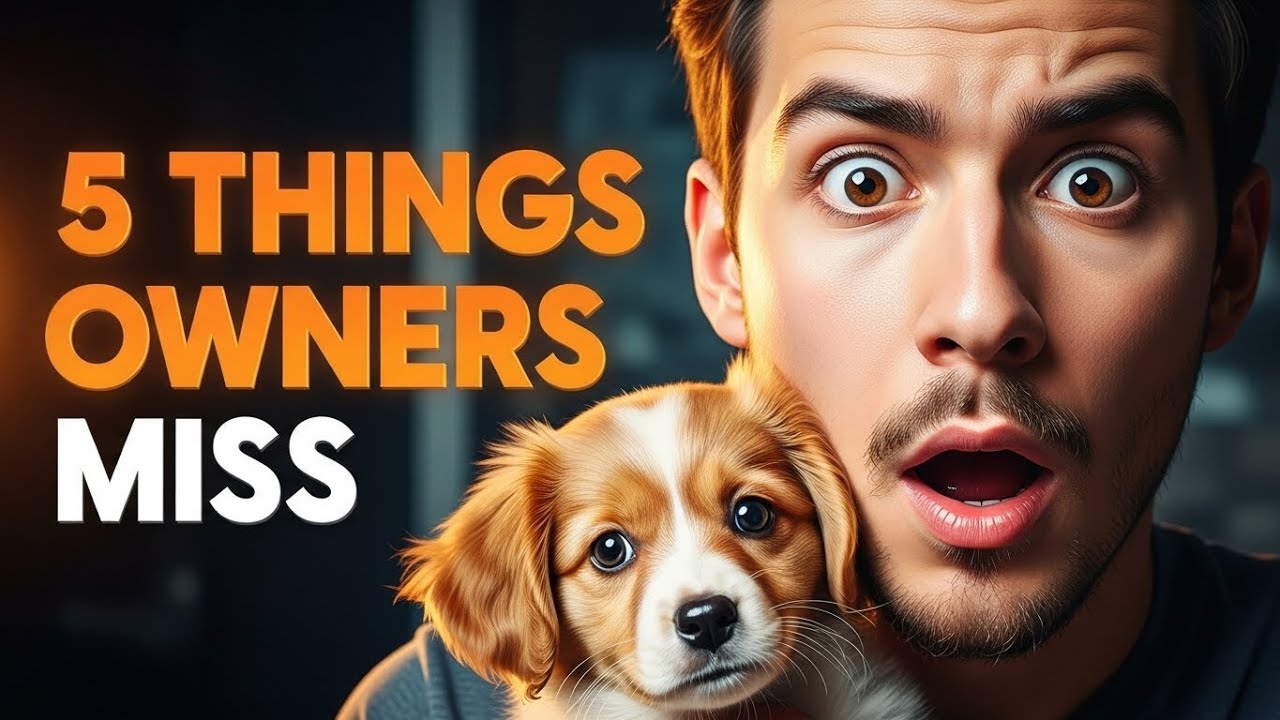 Best Puppy Trainer Secrets: 5 Proven Things Most Dog Owners Never Learn