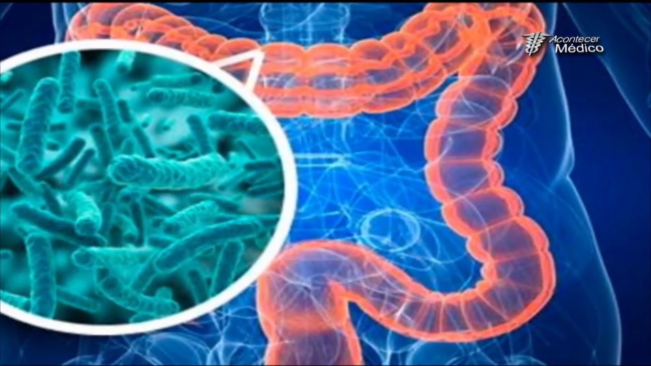 &ldquo;El Fascinante Microbioma Humano&rdquo; Prog. Completo- Acontecer M&eacute;dico TV