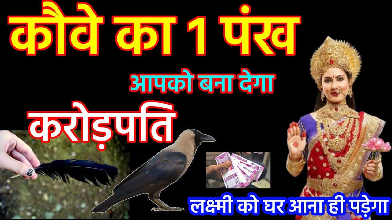 Vastu Tips  || कौवे के पंख का ये उपाय आपको बना देगा धनवान जल्दी से कर लो अभी भी समय है