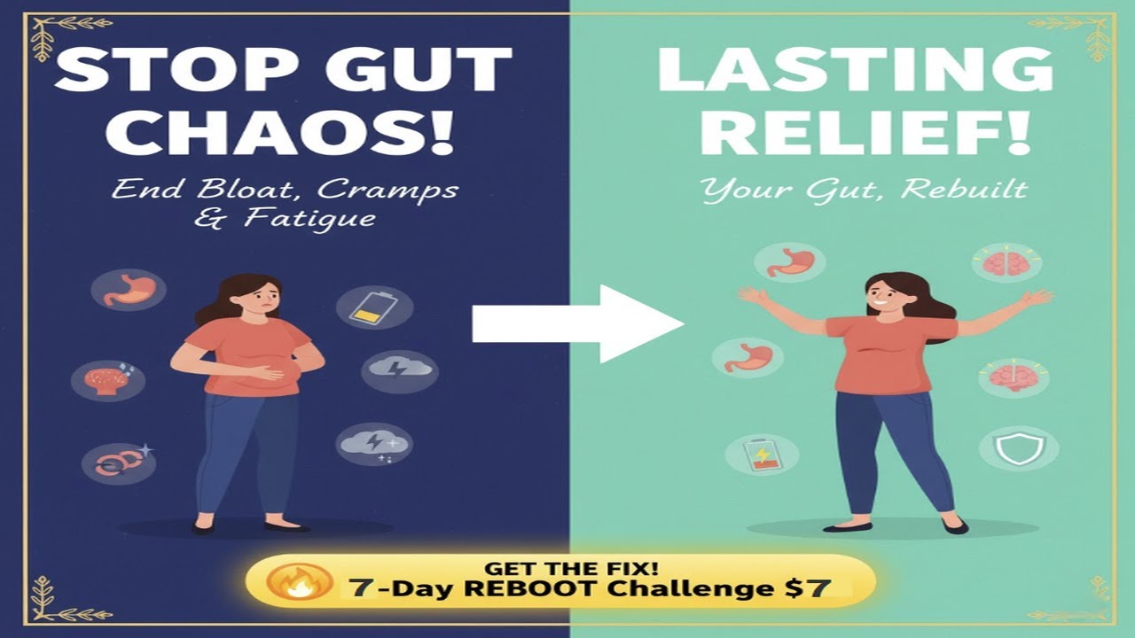 Restore Estrogen Level | The Estrobolome
