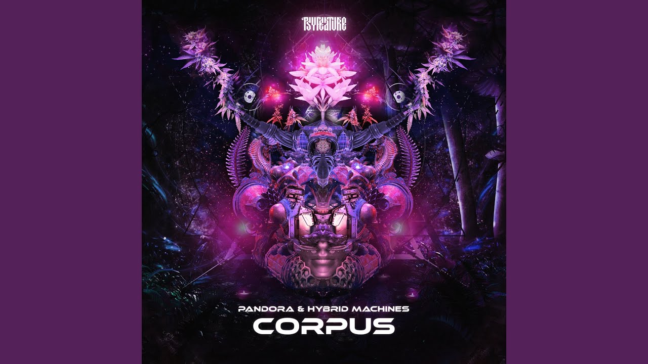 Corpus