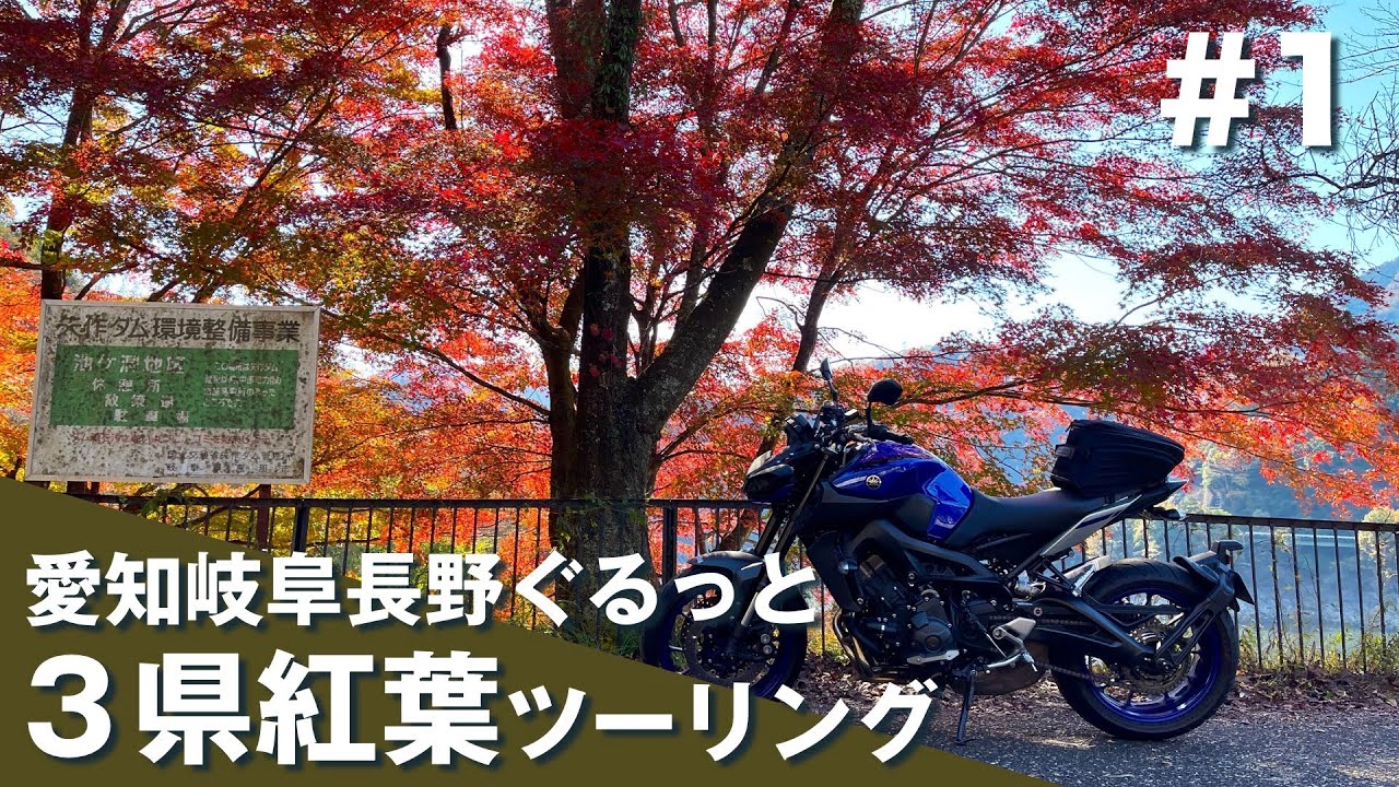 【ツーリング】愛知岐阜長野3県紅葉ツーリング #1  香嵐渓 〜 矢作ダム 〜 国道418 酷道区間【YAMAHA MT-09】