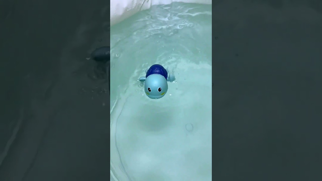 Kibtoy Turtle Bath Toy