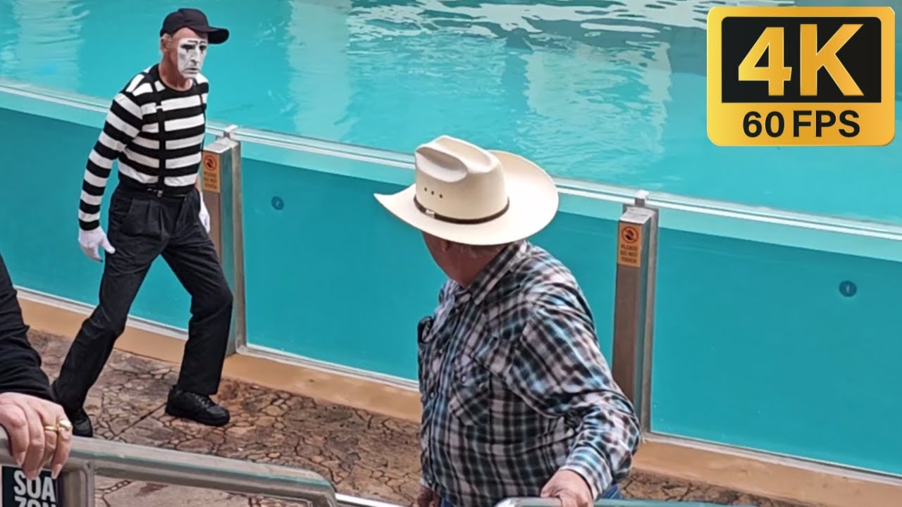 Мим Линн из SeaWorld Orlando 2024 😂🤣 #lynnthemime #seaworldmime #funnyvideos #funnymoments