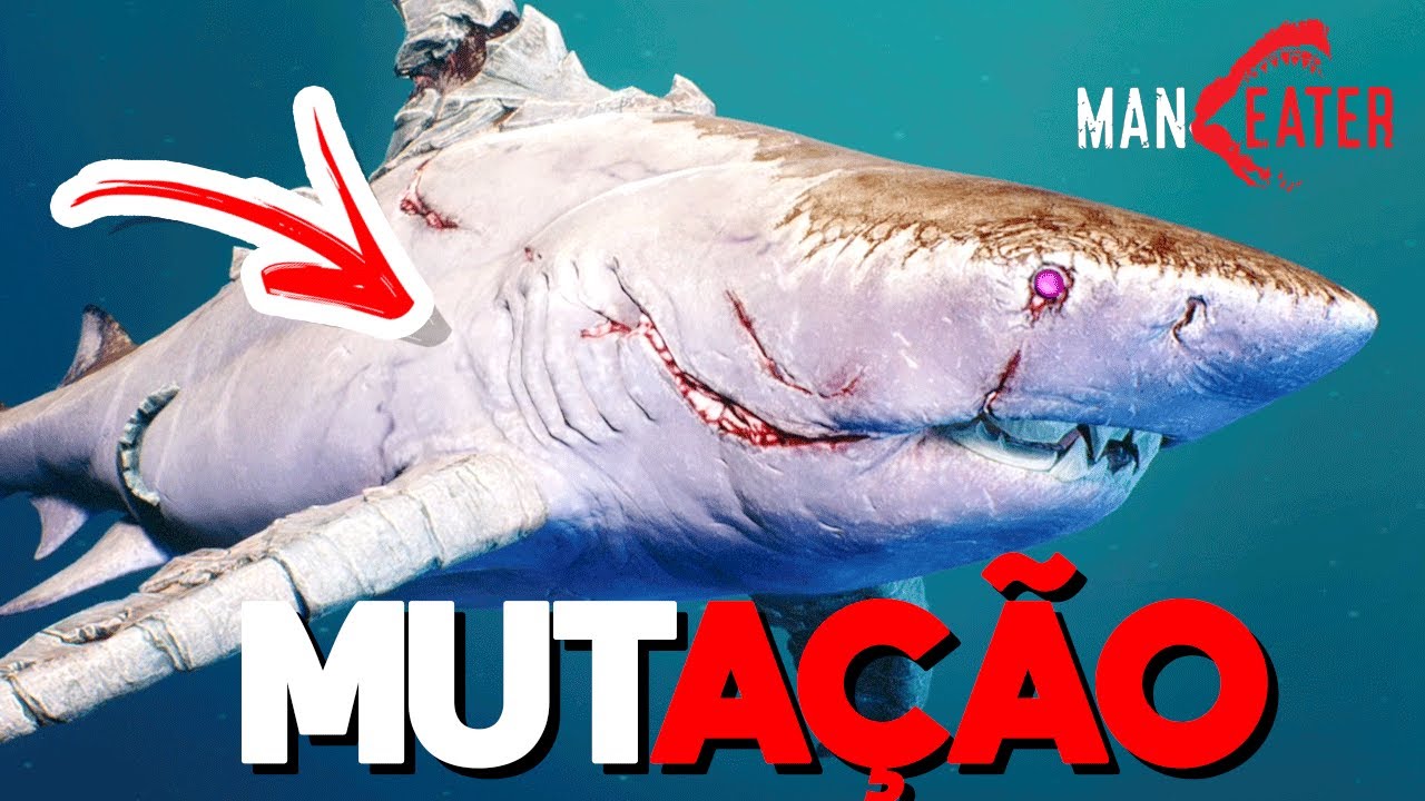 TUBARÃO SOFRE MUTAÇÃO NO GTA DE TUBARÃO - MANEATER (#06)