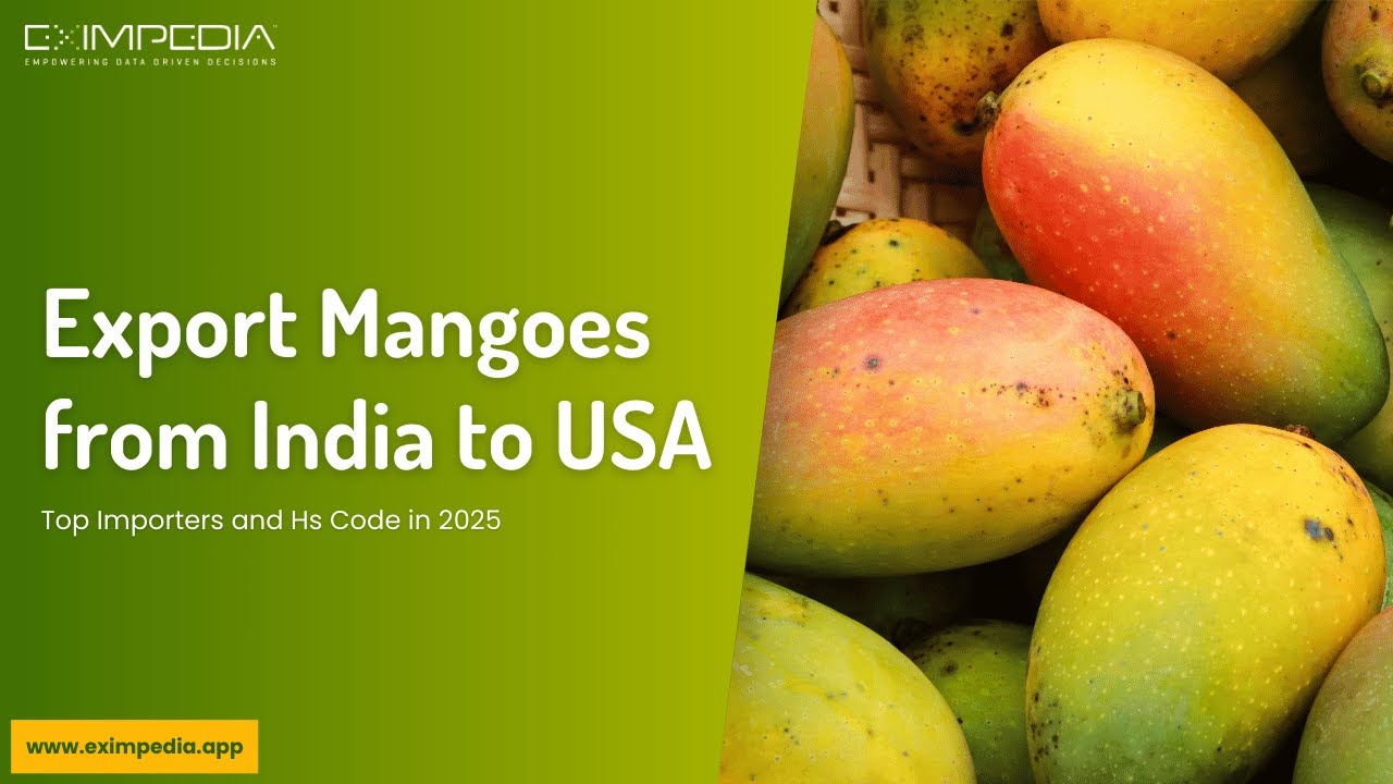 Export Mangoes from India to the USA: Top Importers and Hs Code in 2025