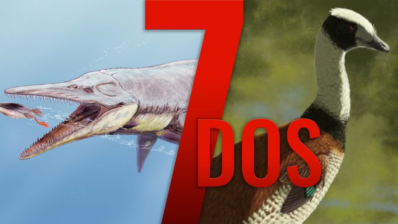 A New Giant Pliosaur & Return of the Duck Raptor - 7 Days of Science