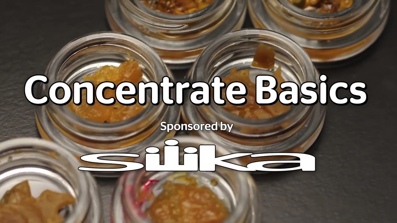 Concentrate Basics  Shatter, Budder & Oil | 420 Store