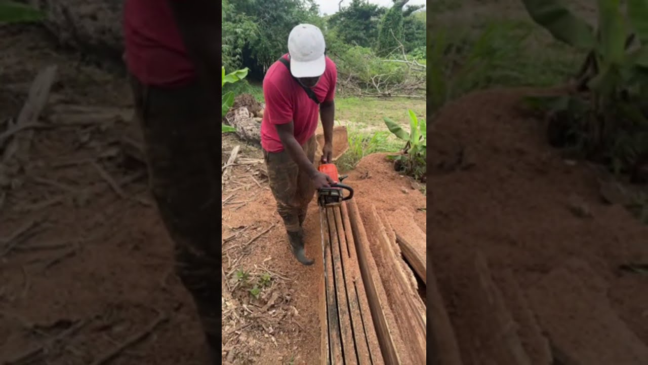 Lin the hills cutting lumber