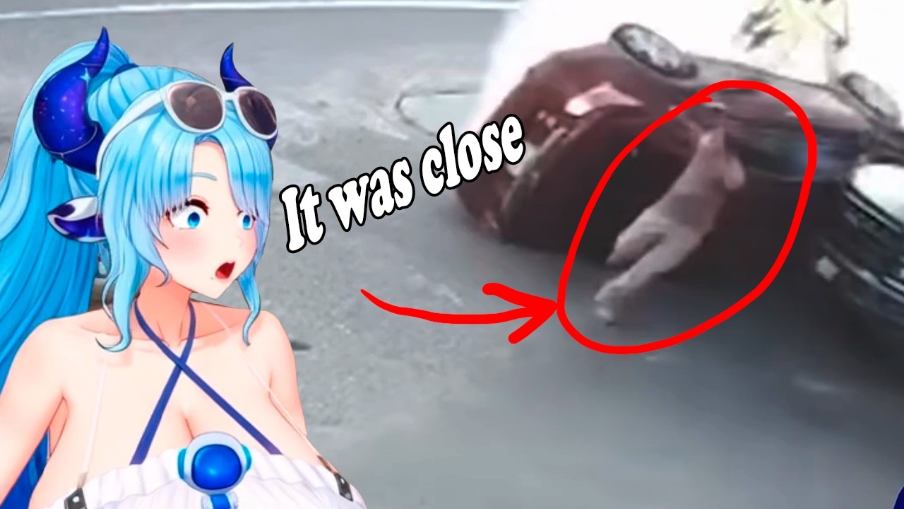 Milky React To Daily Dose Of Internet Memes Compilation
