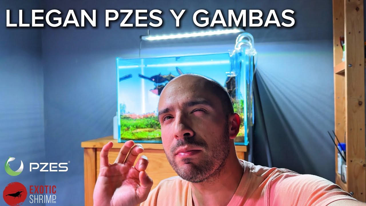 La LI&Eacute; con la luz&hellip; y ahora llegan gambas y peces 😱 | EL FACTOR INVISIBLE #4