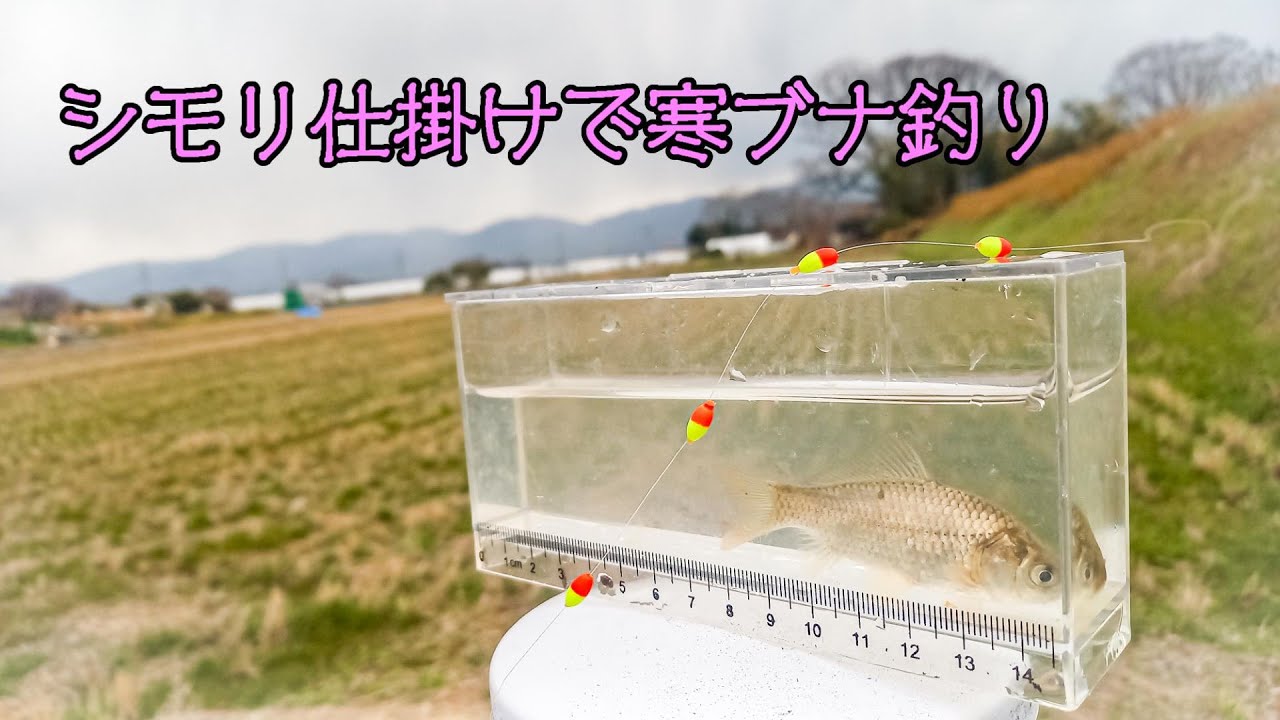 とある冬の日、シモリ仕掛けで小鮒を狙う[マブナ]