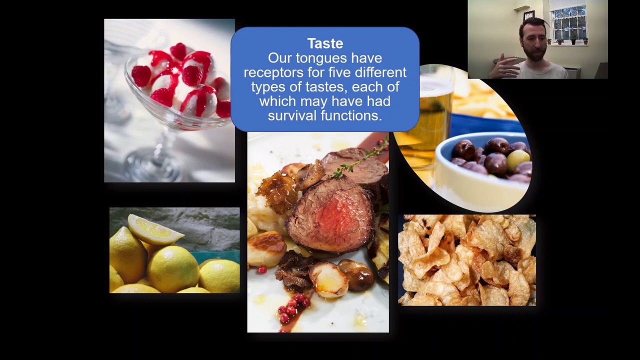 PSY111 CH3PT4: Sensation and Perception: Taste