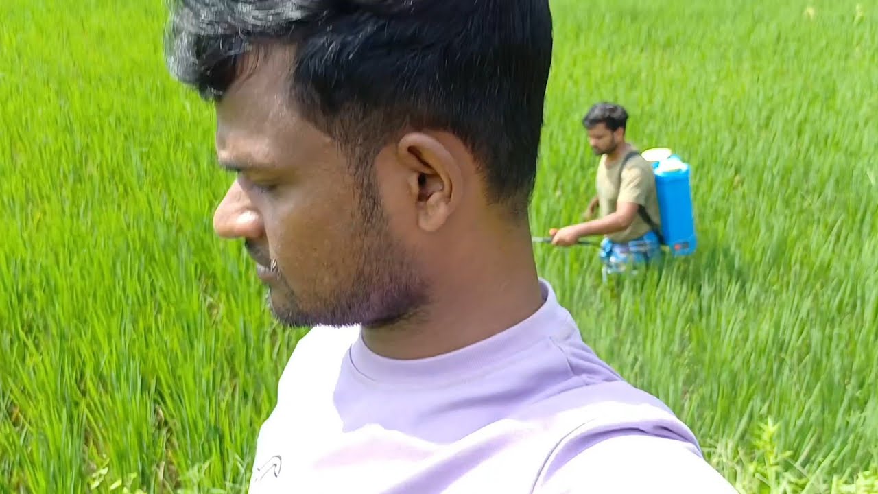 জমিতে কীটনাশক দিতে গিয়েছিলাম,ভিডিও টা কেমন হয়েছে কমেন্টে জানাবেন!