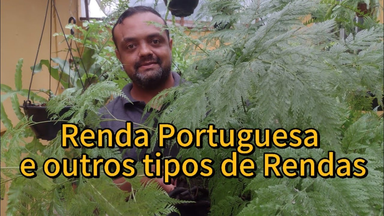 Renda Portuguesa e outros tipos de Rendas