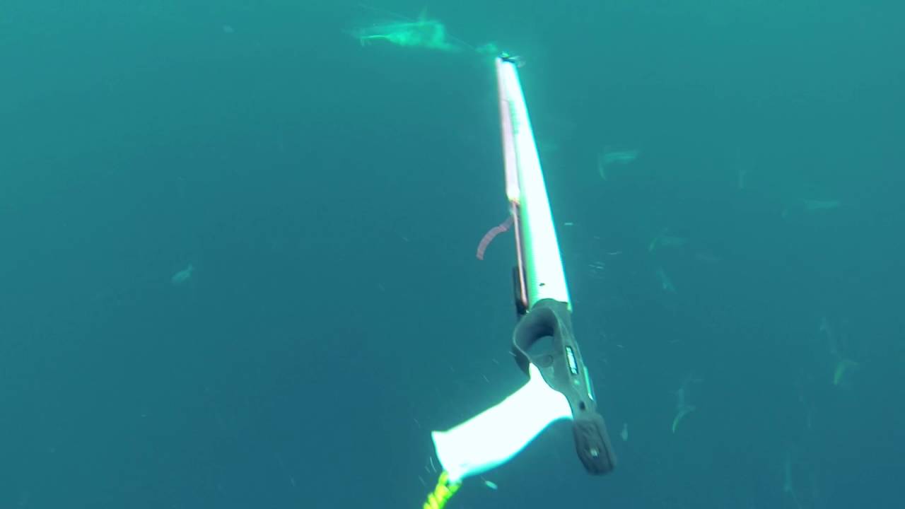 Neptonics Throw Flashers: Guaranteed to work