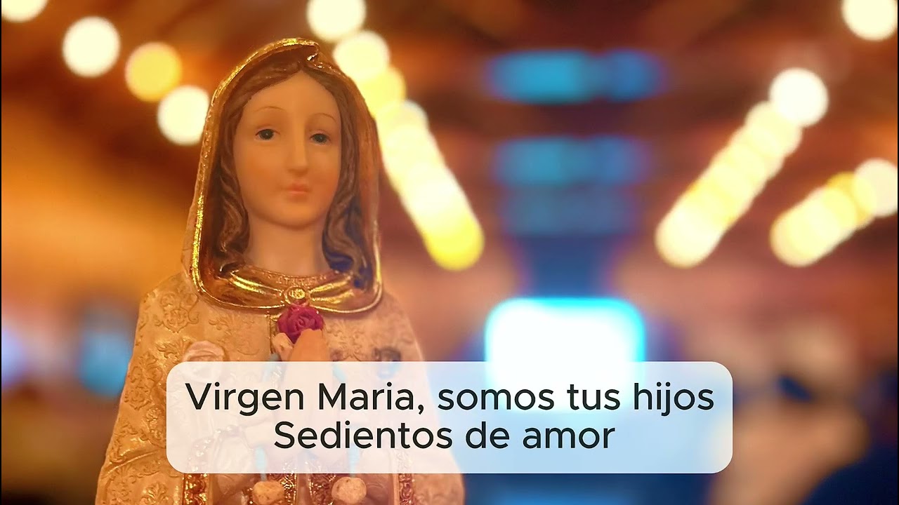 Todo Tuyo Quiero Ser