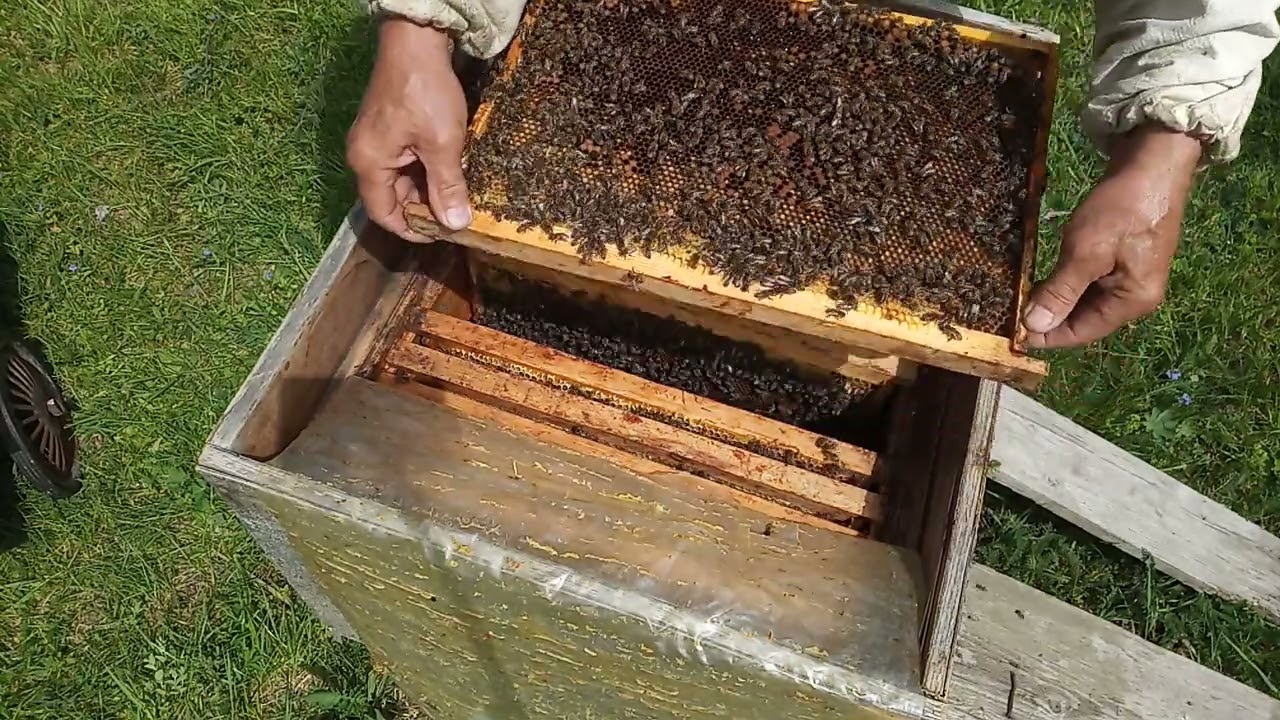 Расширяем  корпусом . ( на  опережение )