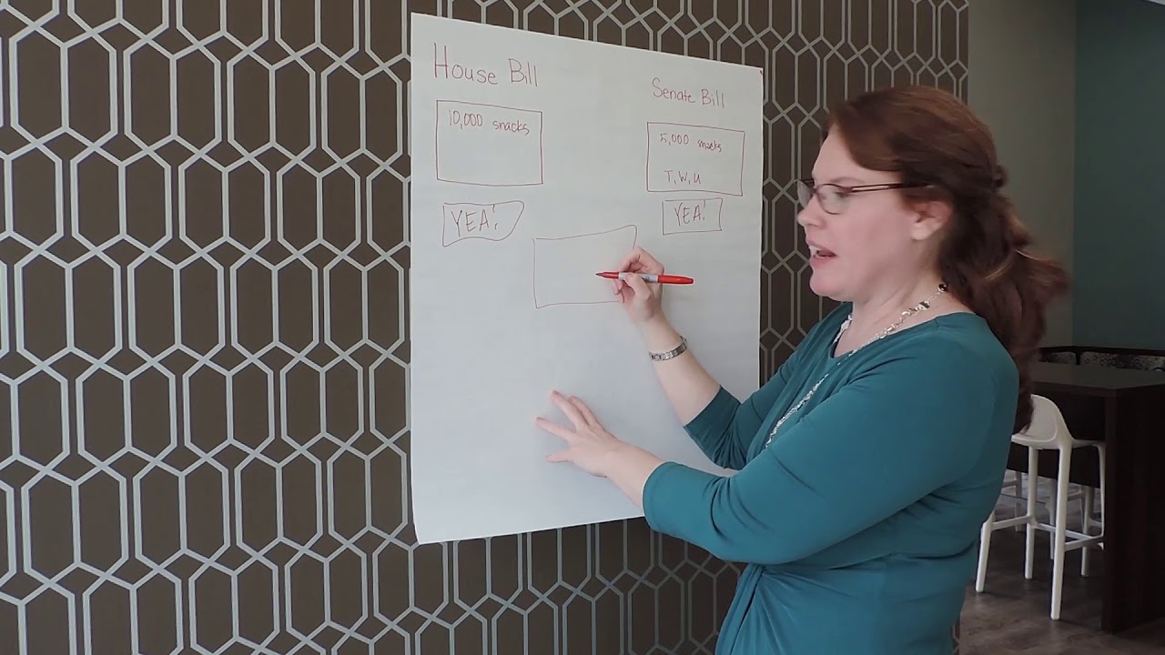 Legislative Translations: What is a Conference Committee?