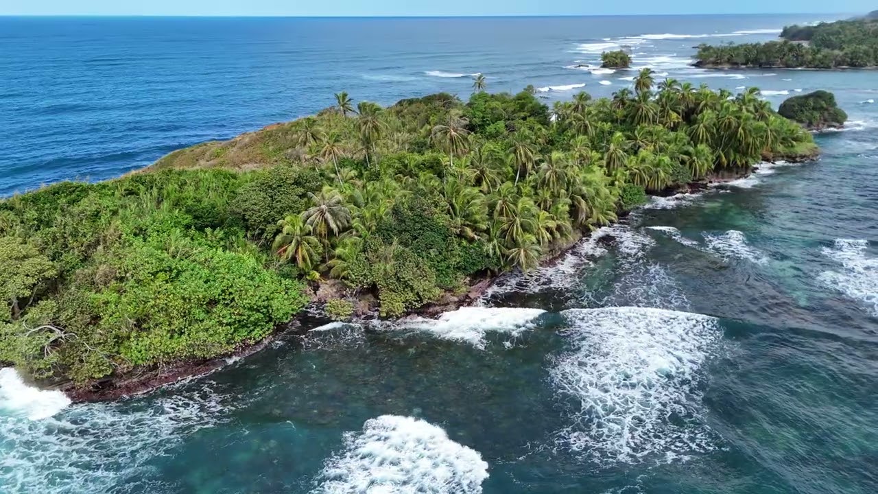 Panama, Bocas del Toro Red Frog beach