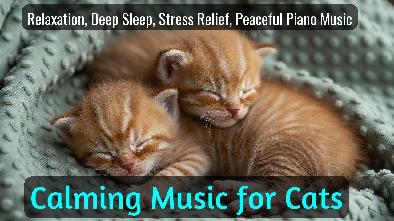 Calming Music for Cats - Relaxation, Deep Sleep, Stress Relief, Peaceful Piano Music | Season 43
