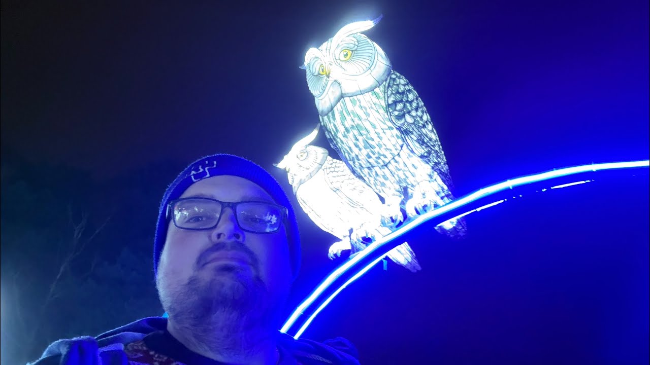 Winter Hogwarts - Yorkshire Wildlife Park Winter Illuminations 2025 Vlog