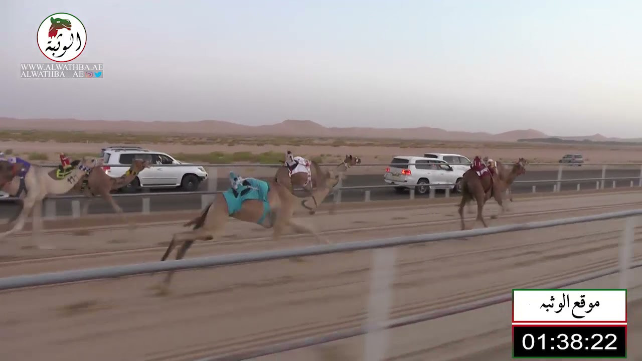 الشوط 1 (معزه) لـ سعيد محمد بالكيله العامري ، شارة الاتحاد 2021/9/16 حقايق رماح