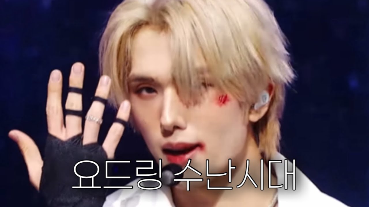 집 나간 요드링 찾아요