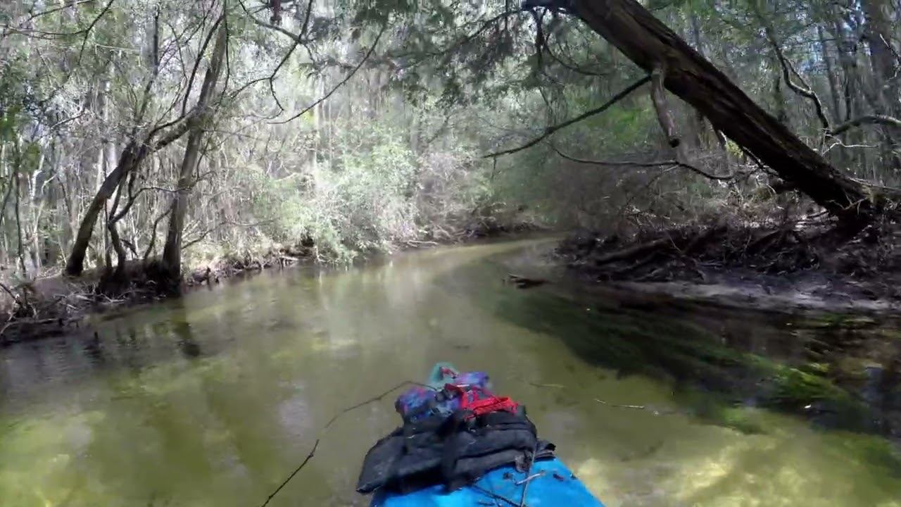 Turkey Creek 3 9 2026 movie