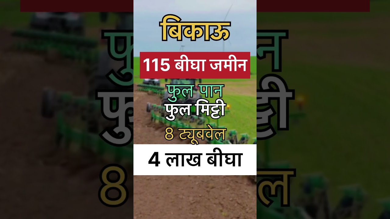 115 bigha agriculture land for sale in madhya pradesh | | agriculture land salel 1 property | #short