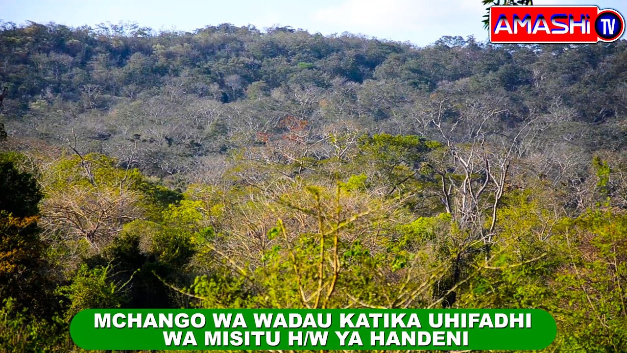MCHANGO WA WADAU KATIKA UHIFADHI WA MISITU HALMASHAURI YA WILAYA YA HANDENI