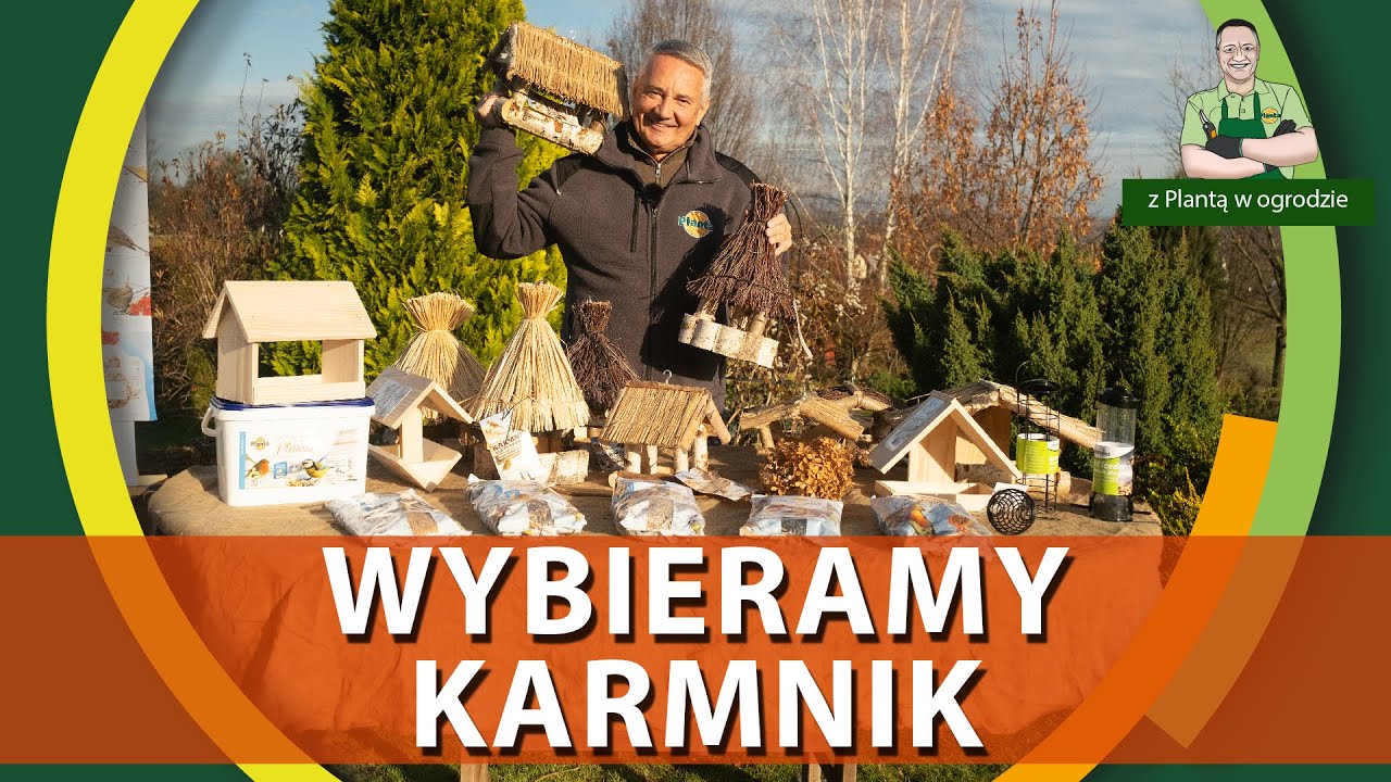 Jak wybrać karmnik dla ptaków - Z PLANTĄ W OGRPDZIE
