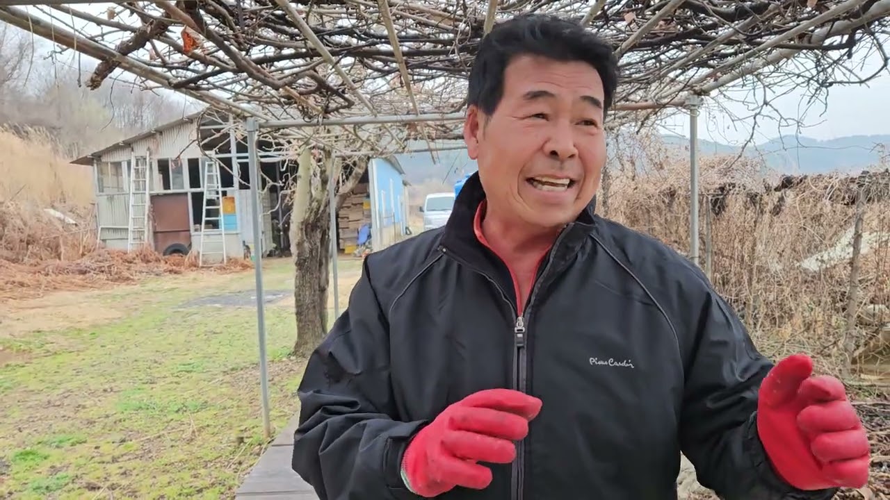 양봉 60318 판매하는벌