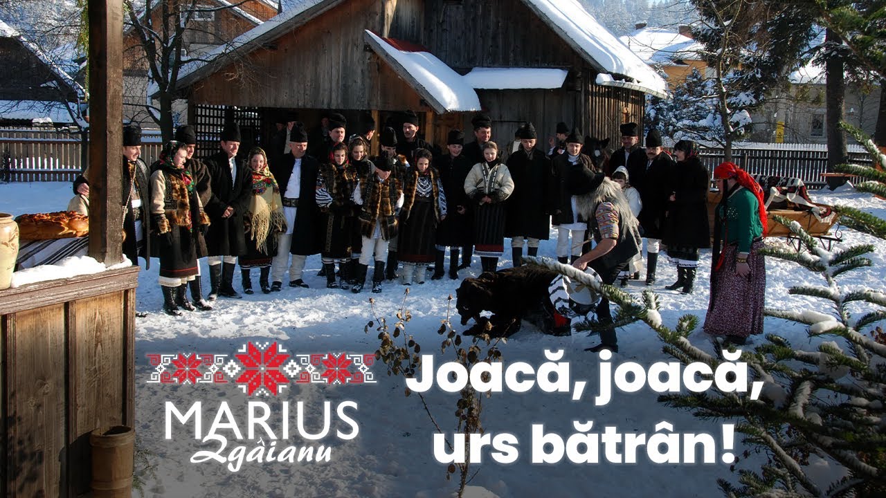 Marius Zgâianu - Joacă, joacă urs bătrân!