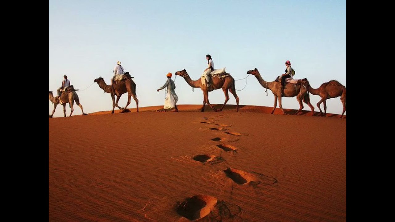 Desert strings #trends #trending 