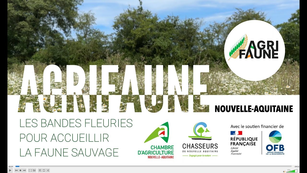 Des bandes fleuries pour accueillir la faune sauvage (Agrifaune Vienne)