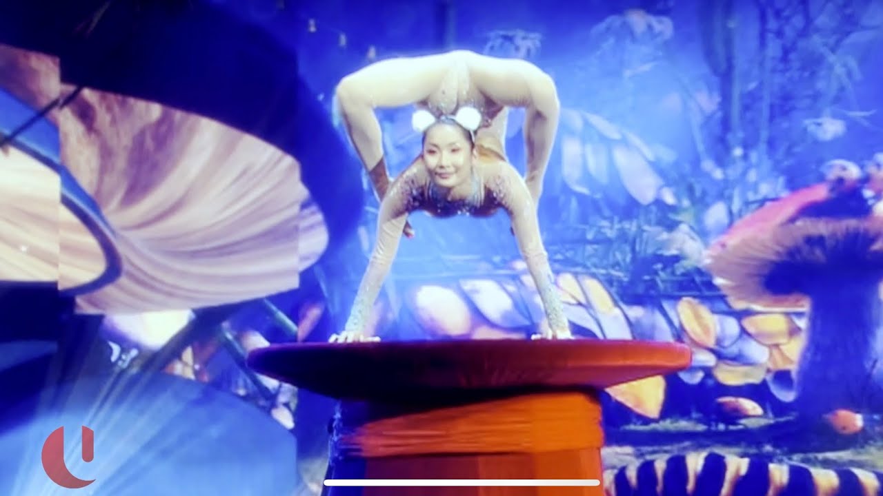 Ulzii Mergen - “Hat Bunny” Performance on TV UA