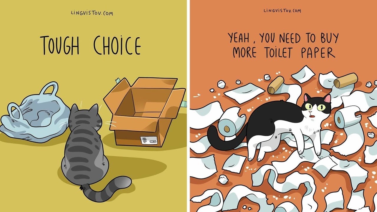 Artist Illustrates What It’s Like To Live With A Cat