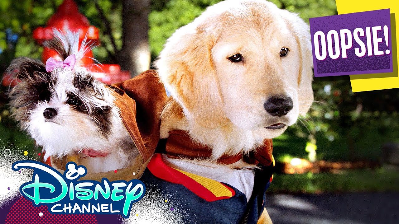 Every Time Oopsie Says Oopsie! | Pup Academy | Disney Channel