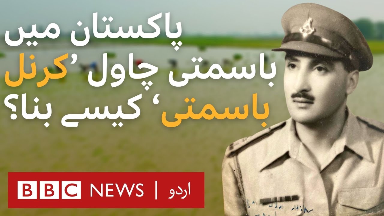 How did Basmati Rice become Kernal Rice in Pakistan? - BBC URDU