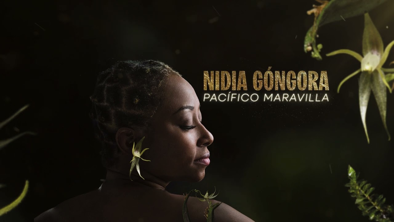 Arrullo Dub  - Nidia Góngora (Visualizer)