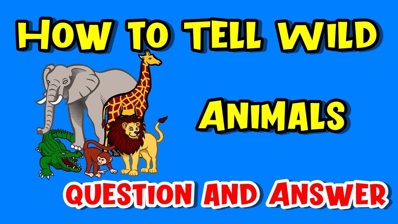 How to tell wild Animals Question Answer | Class 10 English Chapter 4 | First Flight Poem In Hindi