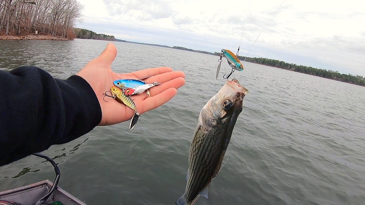 Como Pescar Todas Las Especies de Peces En Aguas Muy Profundas