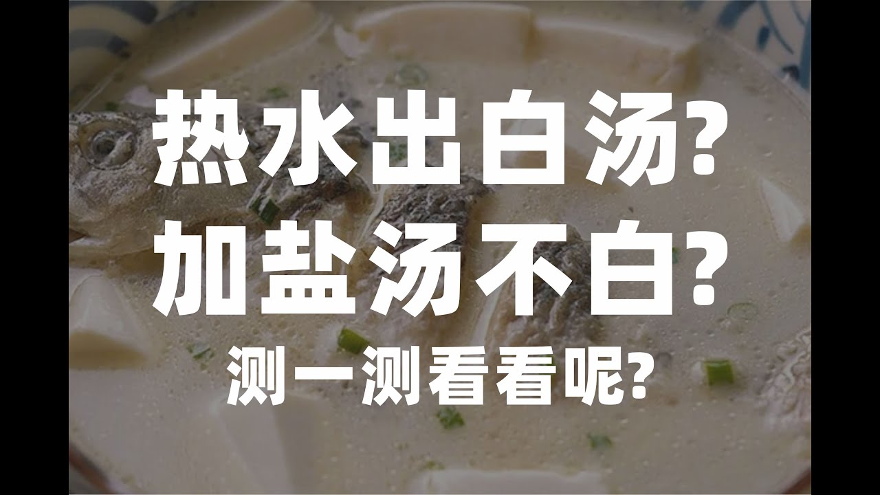 热水出白汤？加盐汤不白？测一测不就知道了？鲫鱼汤、鸡蛋白汤