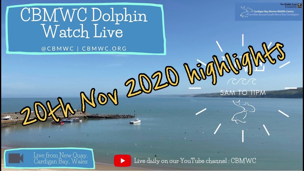 Highlights - CBMWC Webcam highlights 20th November 2020