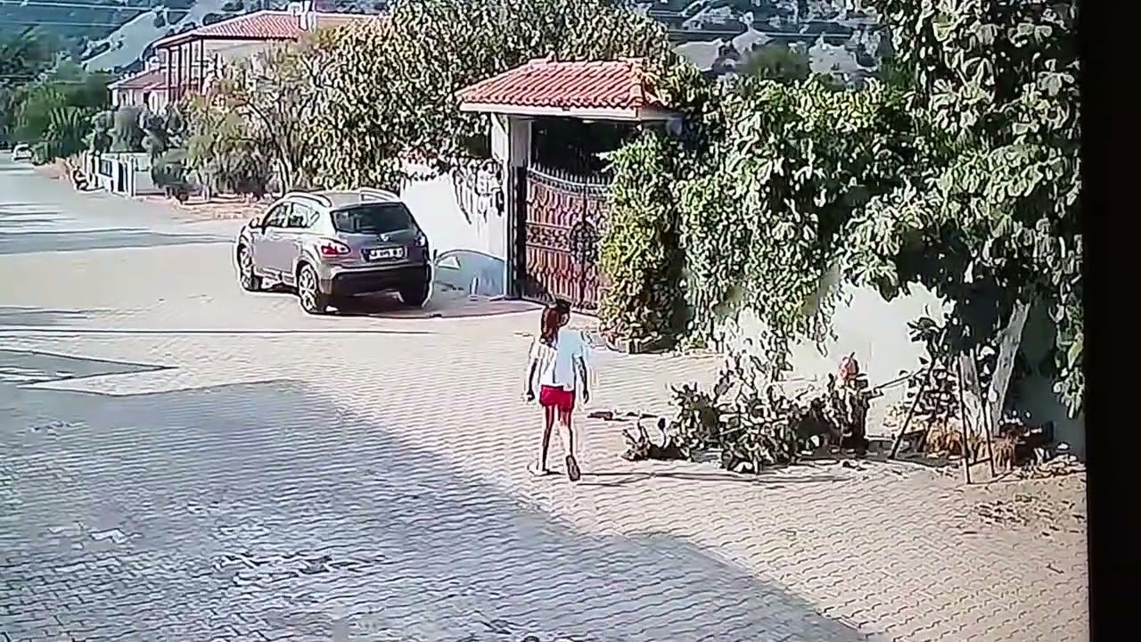 #bahçe #müstakil #ev #peyzaj #peyzajmimarlığı #çim #leylandiağacı#muğla #marmaris