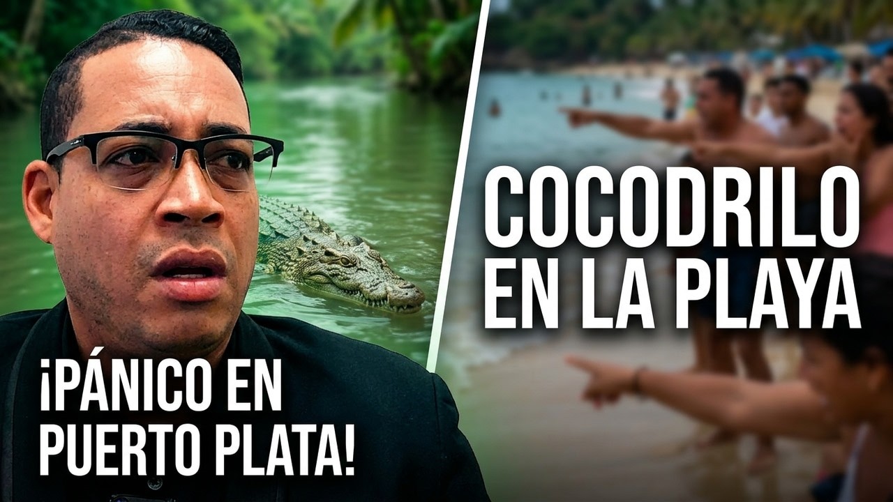 MIEDO Y TERROR CON LO SUCEDIDO | QUE HIZO UN COCODRILO EN PUERTO PLATA