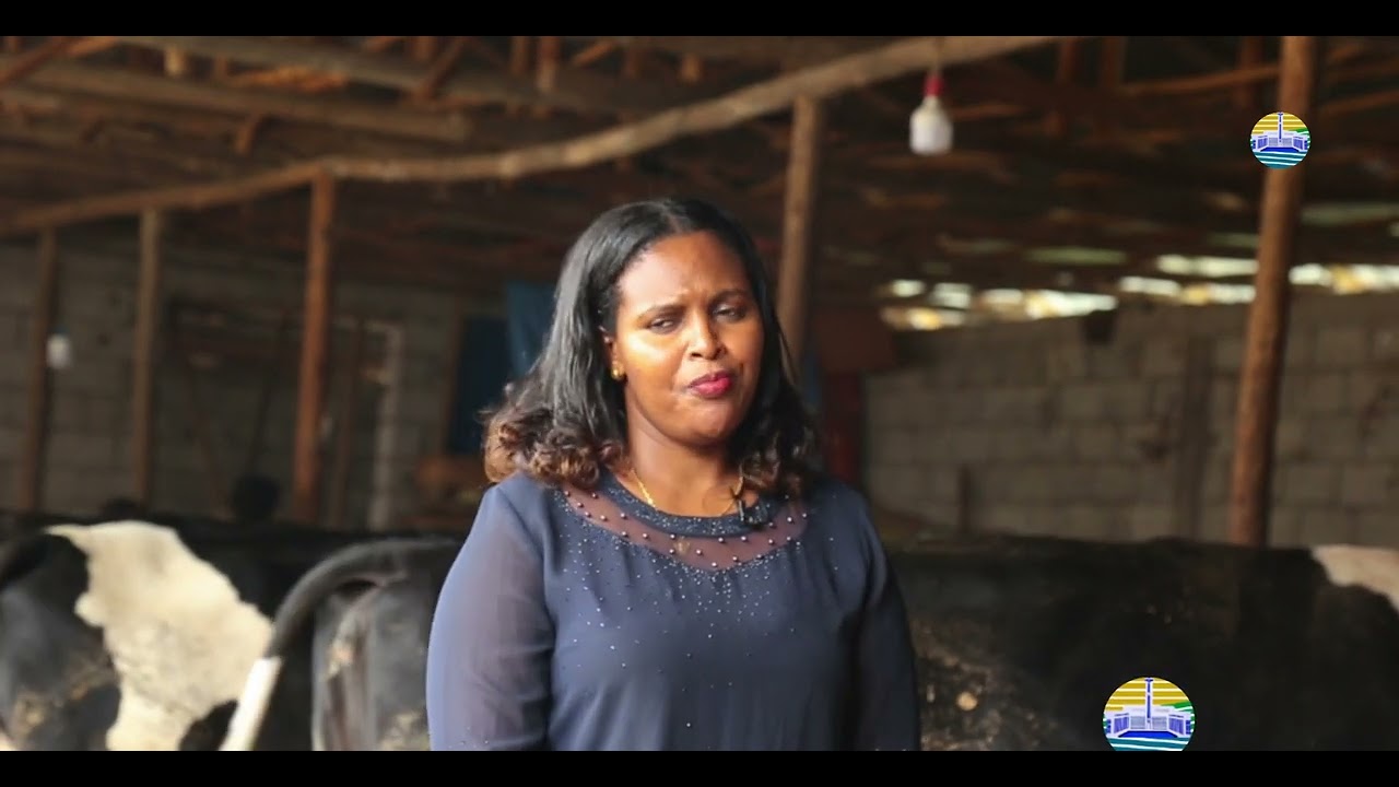 አርሶ አደሩን ከተመልካችነት ወደ ልማቱ ተዋናይነት እያመጣች ያለች ከተማ!
