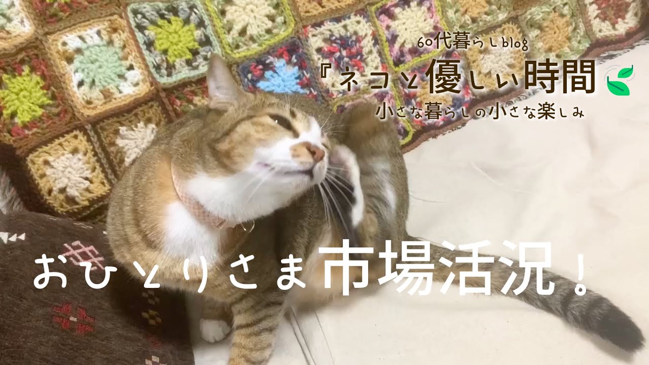 【53🍃】『ネコと優しい時間🍃』おひとりさま市場活況／老年期界隈が元気／モチーフ編み繋げて…