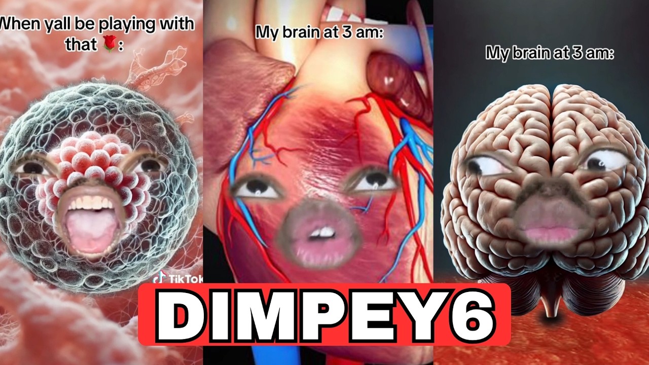 New Best Dimpey6 Funny Shorts 2026 - New Funny Tik Tok Memes - TikTok Famous